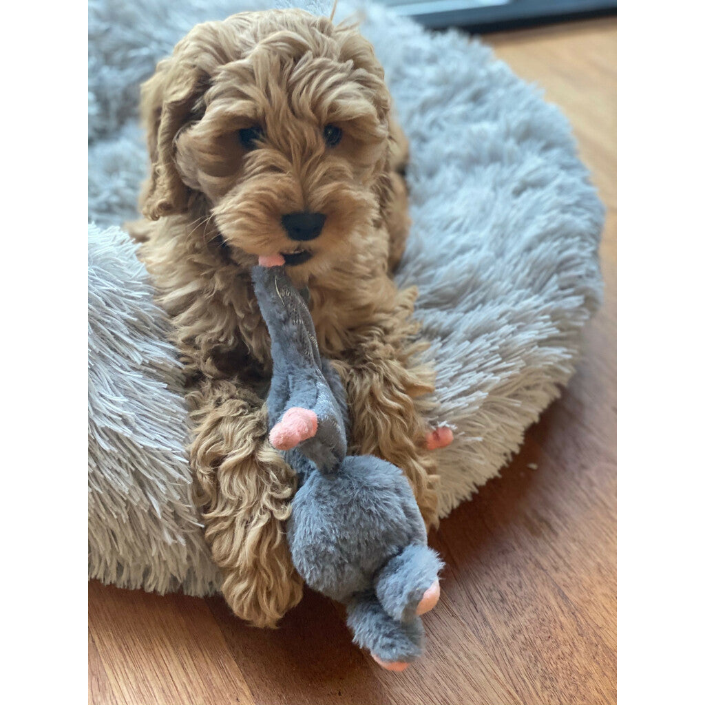 Bunny Puppy Crunchy Knot