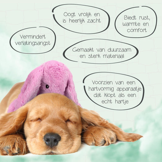 Cozy Dog Bunny Roze