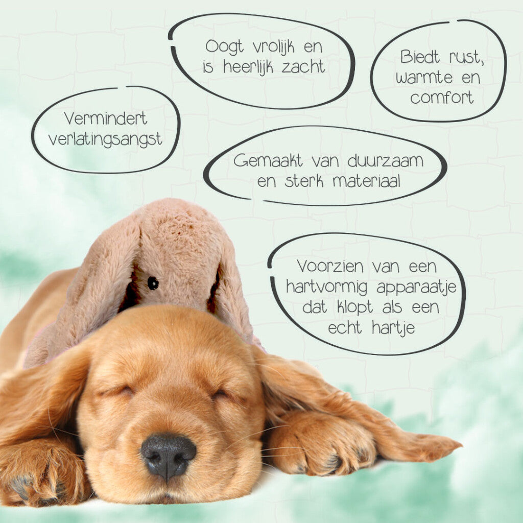 Cozy Dog Bunny Bruin