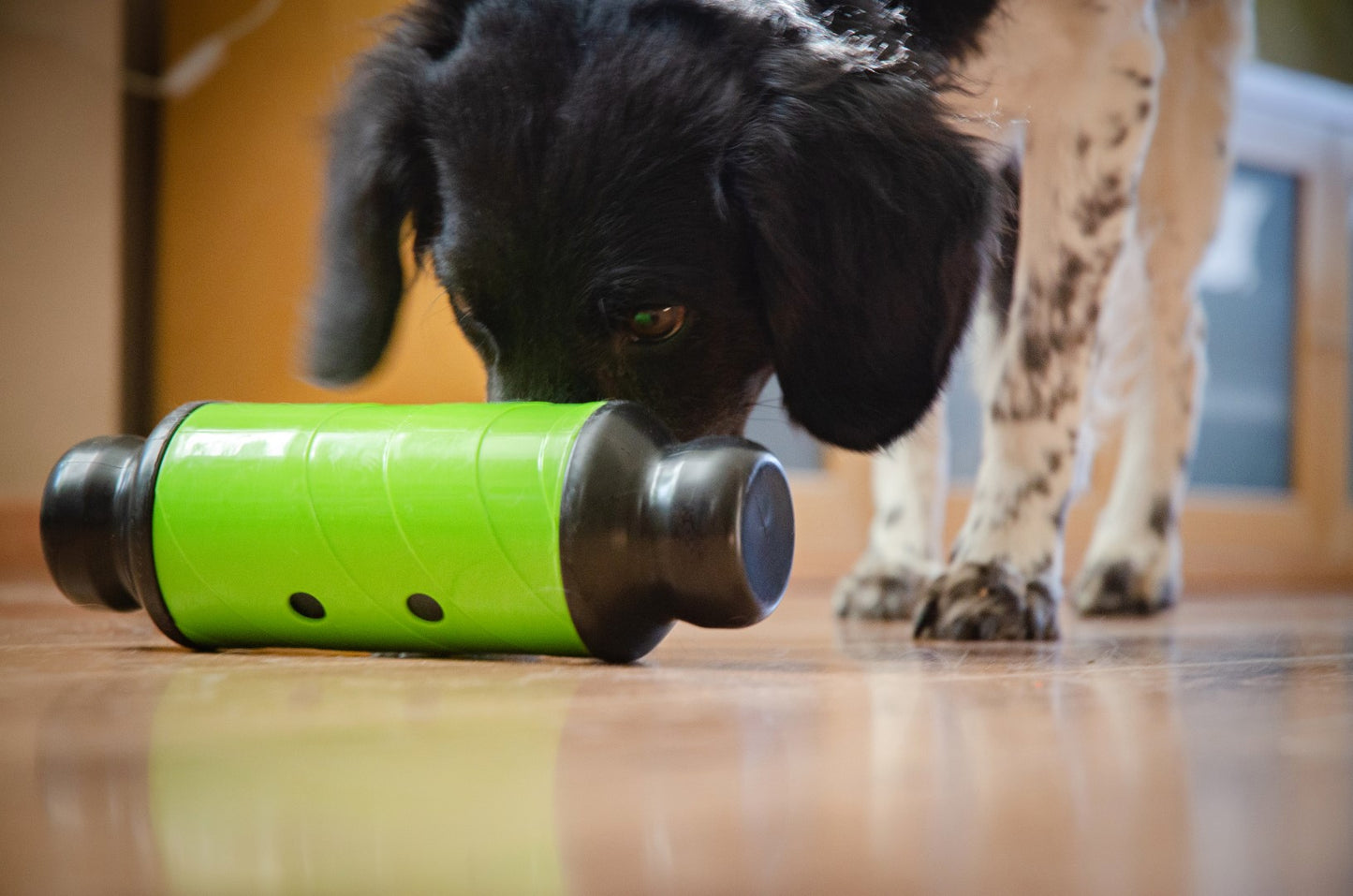 Eat Slow Live Longer Feed & Treat Roller