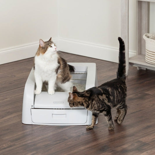 ScoopFree™ Clumping Self-Cleaning Litter Box