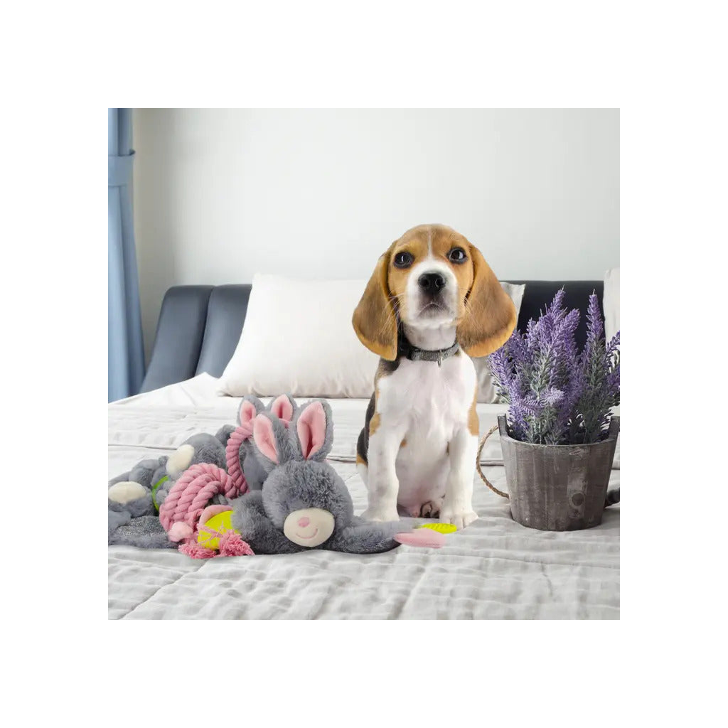 Bunny Puppy Crunchy Chew