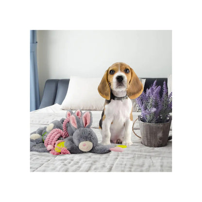 Bunny Puppy Crunchy Chew