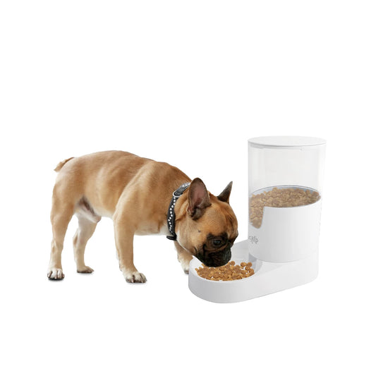 AFP Lifestyle 4 Pets Gravity Pet Food Feeder