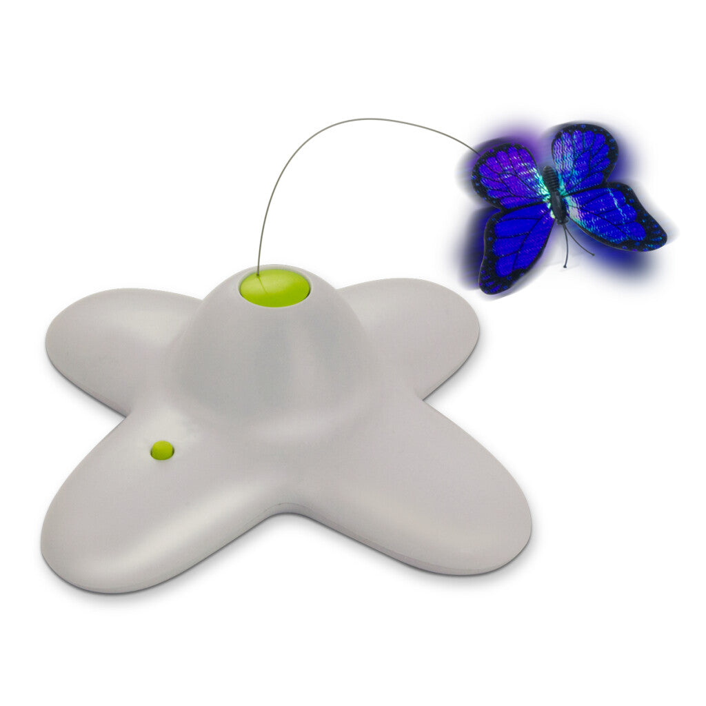 AFP Interactives - Flutter Bug