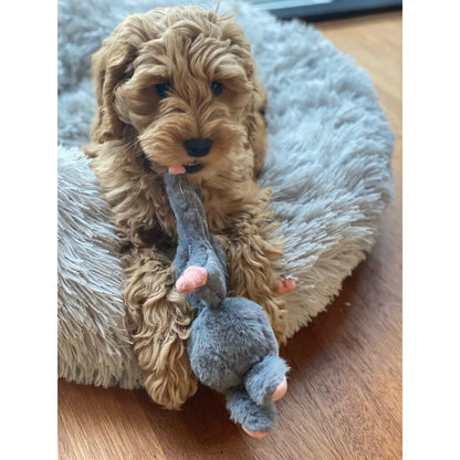 Bunny Puppy Crunchy Knot