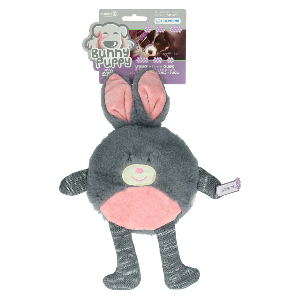 Bunny Puppy Flat Rabbit