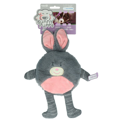 Bunny Puppy Flat Rabbit