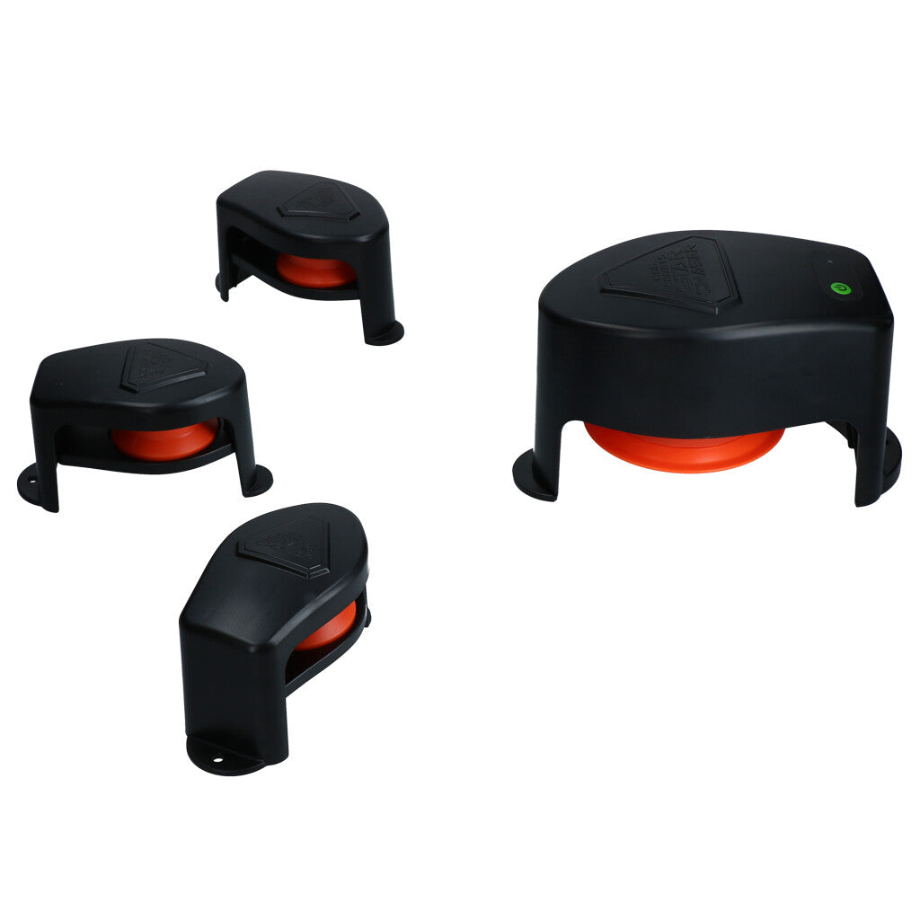 Dog Comets Star Chaser