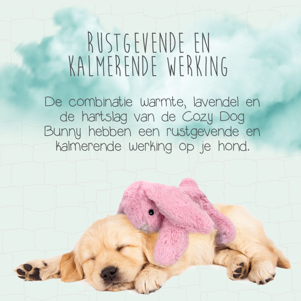Cozy Dog Bunny Roze