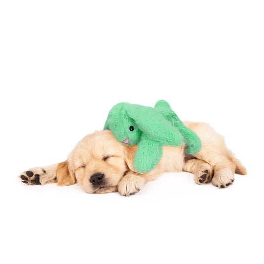 Cozy Dog Bunny Groen
