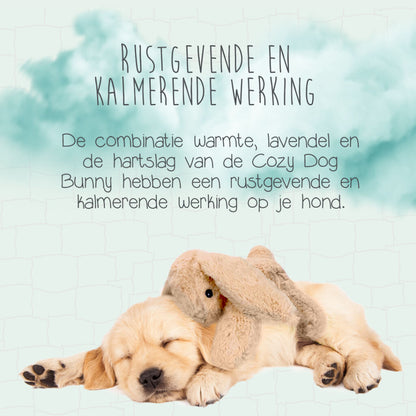 Cozy Dog Bunny Bruin
