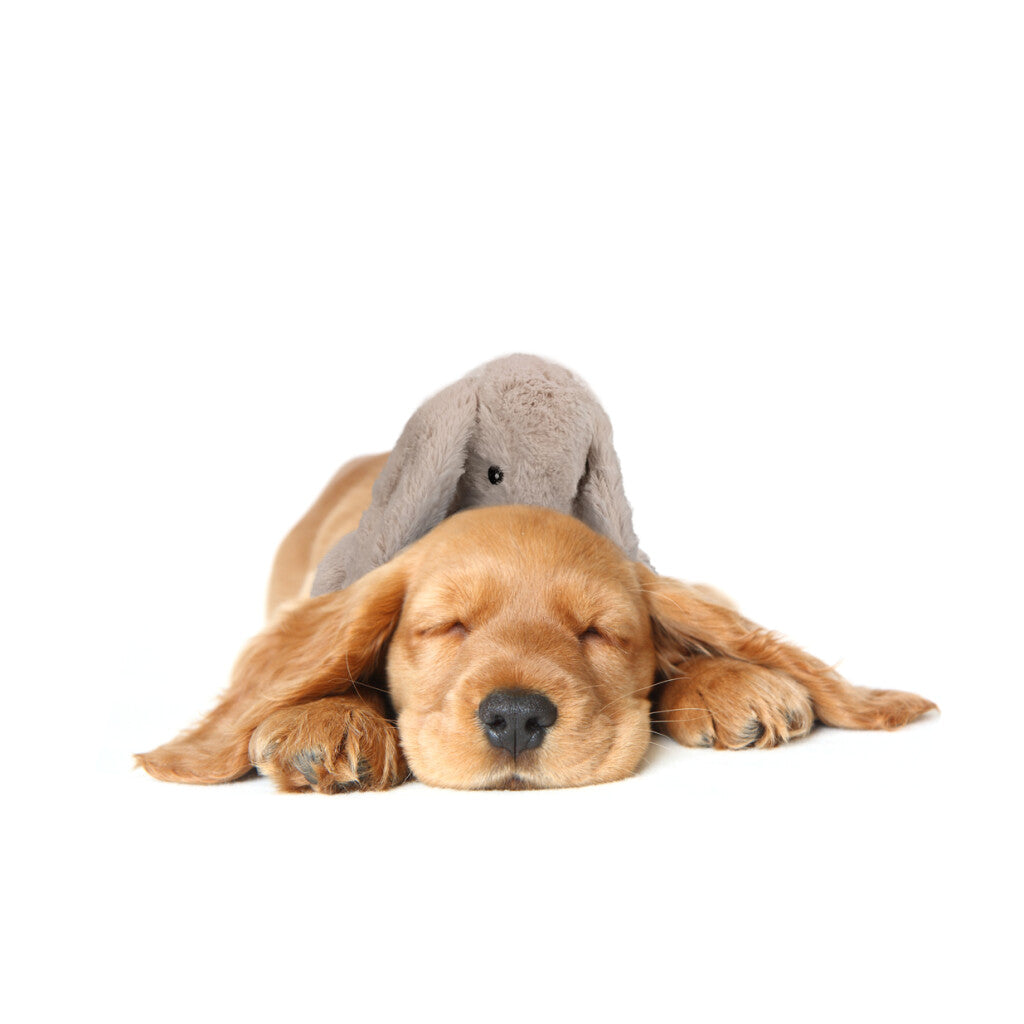 Cozy Dog Bunny Grijs