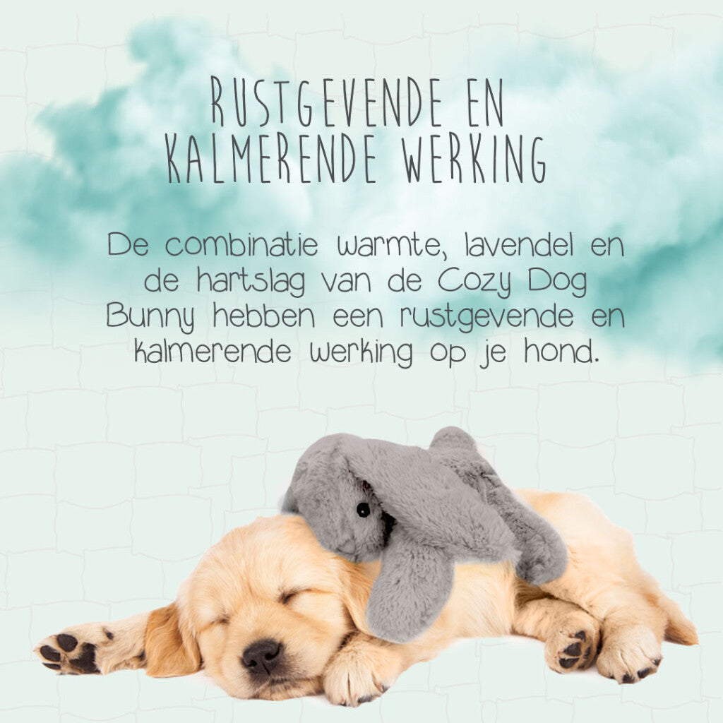Cozy Dog Bunny Grijs