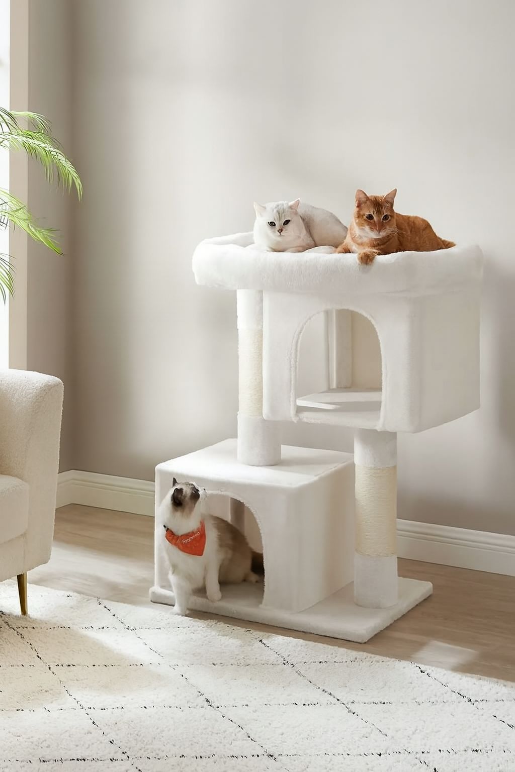 WHselect Comfort Krabpaal – Stabiele Kattenboom met Dubbele Grotten