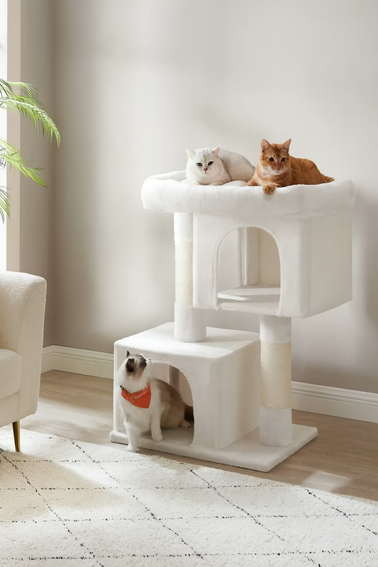 WHselect Comfort Krabpaal – Stabiele Kattenboom met Dubbele Grotten