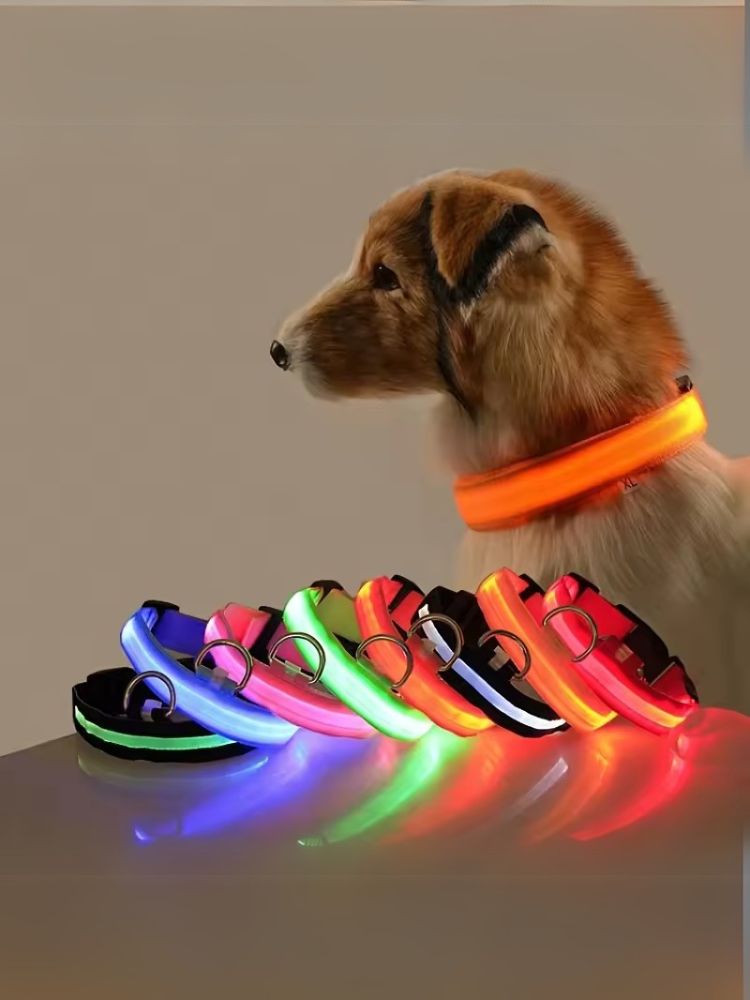 led halsband