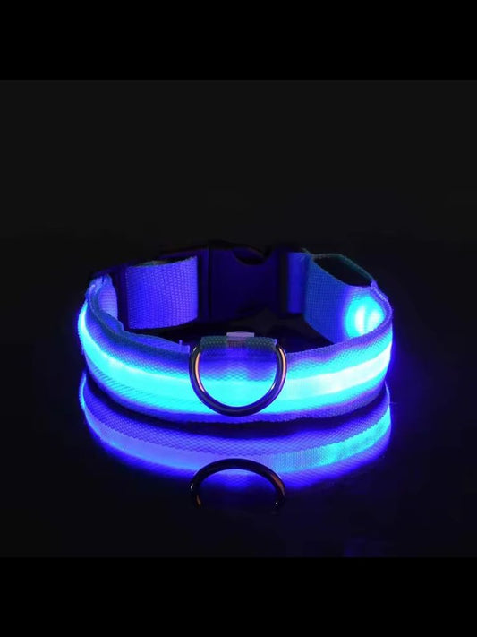 led halsband