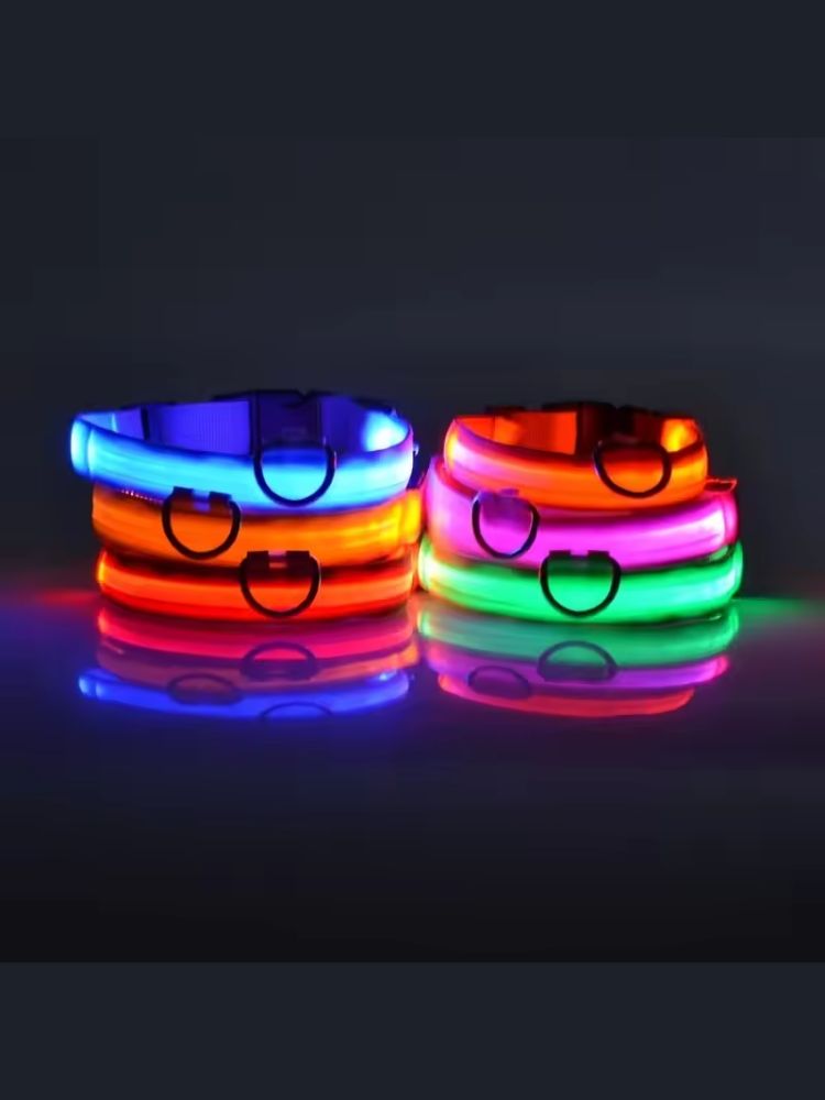 led halsband