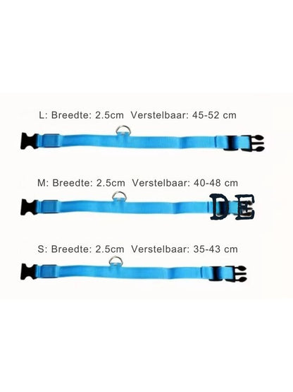 led halsband