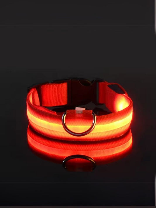led halsband
