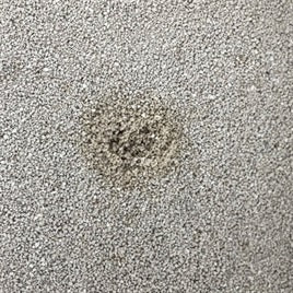 Premium Clean White Bentoniet Kattenbakvulling 12L