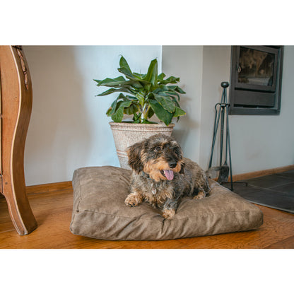 Let's Sleep Plush Pillow Hondenkussen