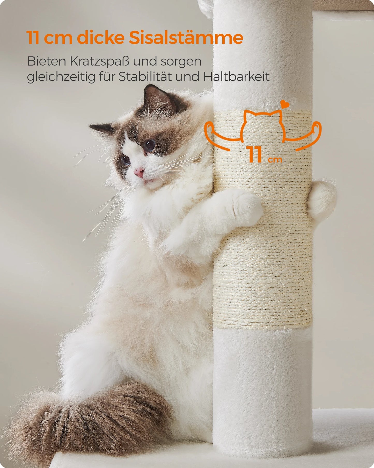 WHselect Comfort Krabpaal – Stabiele Kattenboom met Dubbele Grotten