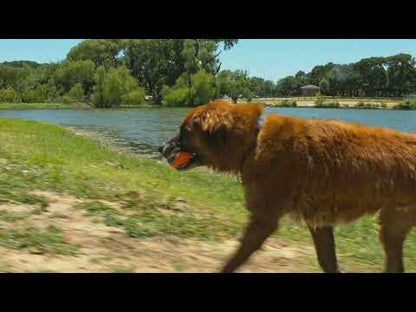 Chuckit! Ultra Ball M (2-pack)